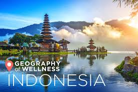 Wellness Indonesia
